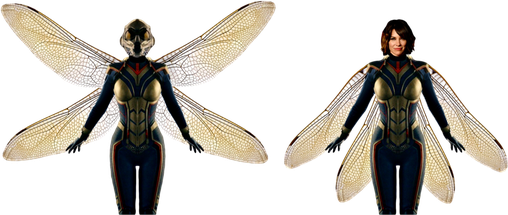 The Wasp Png Isolated Pic (black)