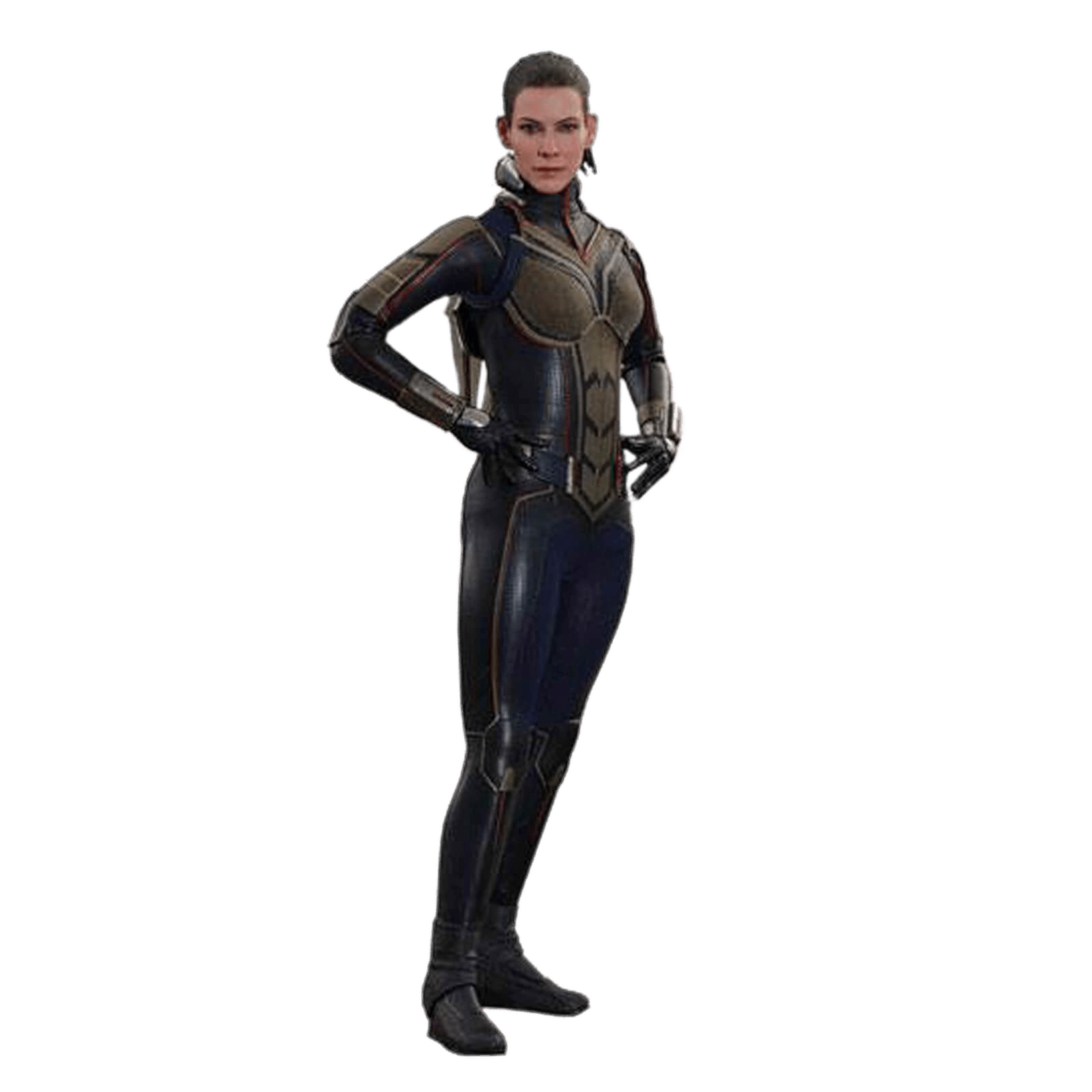 The Wasp Png Picture (gray)