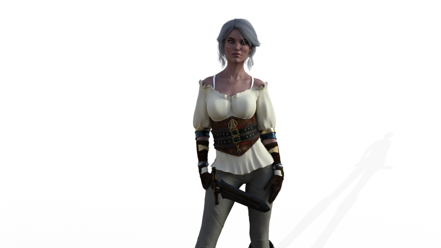 The Witcher 3 Wild Hunt Png Hd (black, gray)