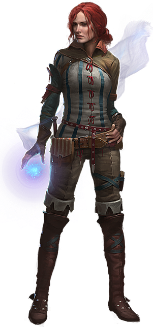 The Witcher Png Transparent Picture (black)