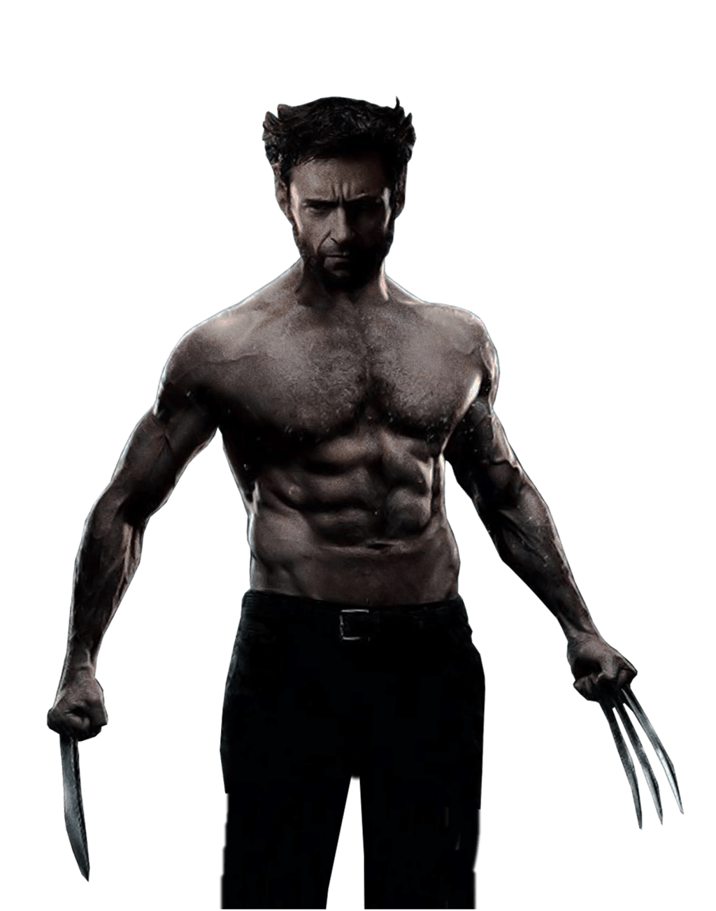 The Wolverine Png Hd Isolated (black, gray)