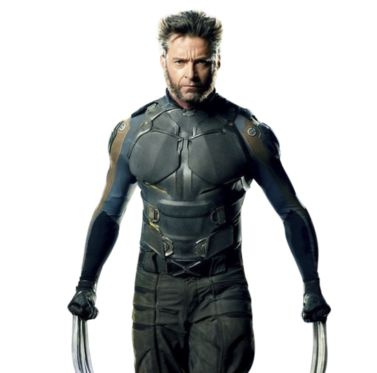 The Wolverine Png Picture (black)