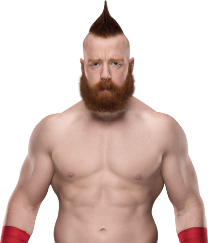 Sheamus Png File (black, silver)