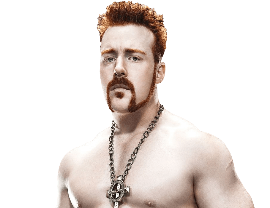 Sheamus Png Isolated File (beige, white, gray)