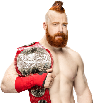 Sheamus Png Isolated Photo (black, pink, beige)