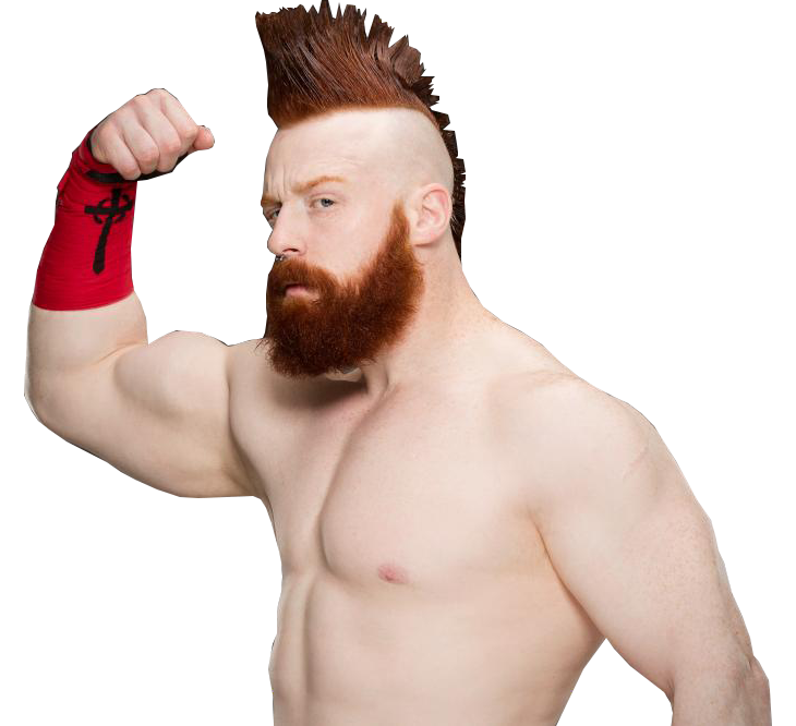 Sheamus Png (black, lavender, white)