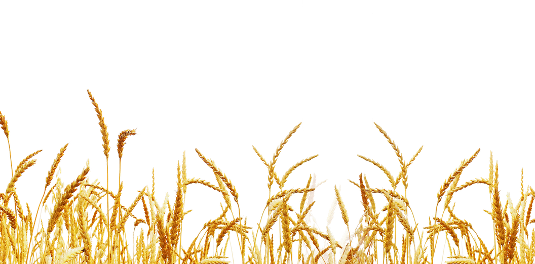 Wheat Field Png Clipart (black)