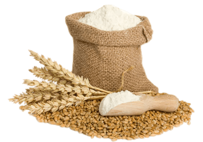 Wheat Vector Flour Png Image (beige, gray)