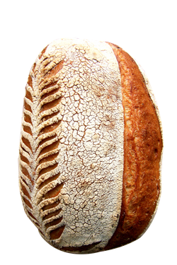 Wheat Bread Png Clipart (maroon, black, pink, white)