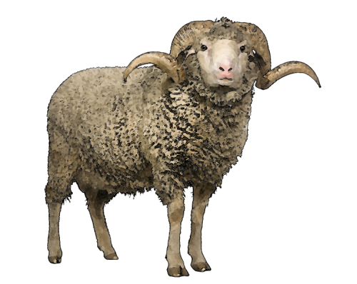 Sheep Png Pic Background (black, maroon)