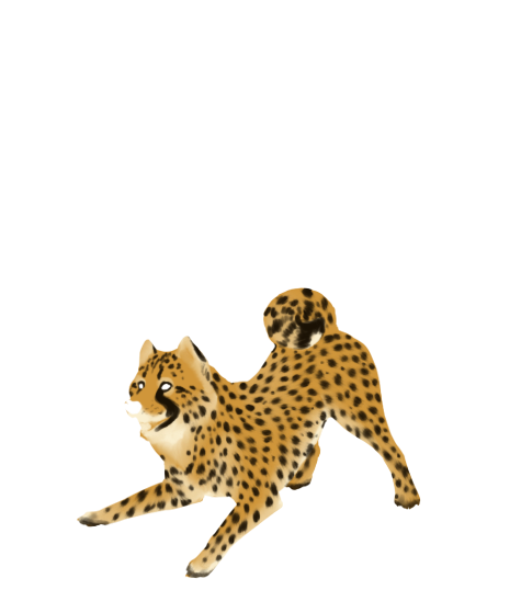 Cheetah Png Clipart (white, chocolate, beige)