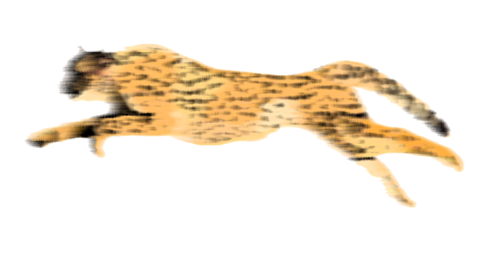 Cheetah Png Hd (black, salmon)