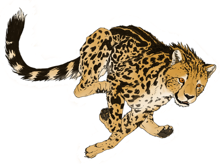 Cheetah Png Transparent Picture (black)