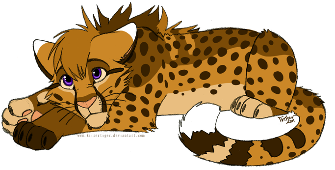 Cheetah Transparent Background (chocolate, salmon, black, white, olive)