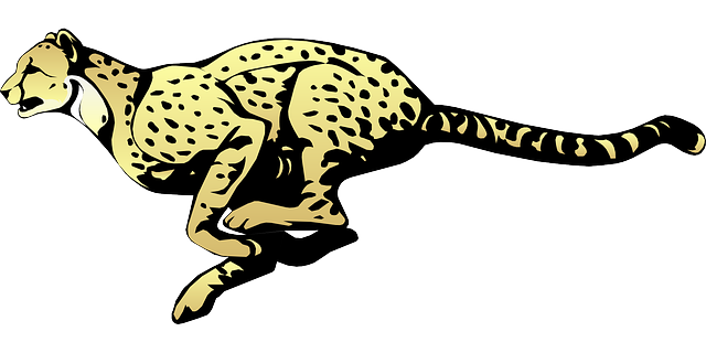 Cheetah Transparent Png (white, gray, black, silver)