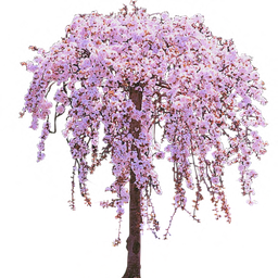 Cherry Tree Png Clipart (black)