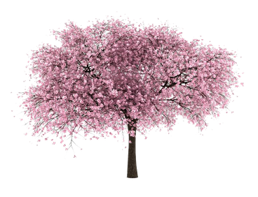 Cherry Tree (black, gray)