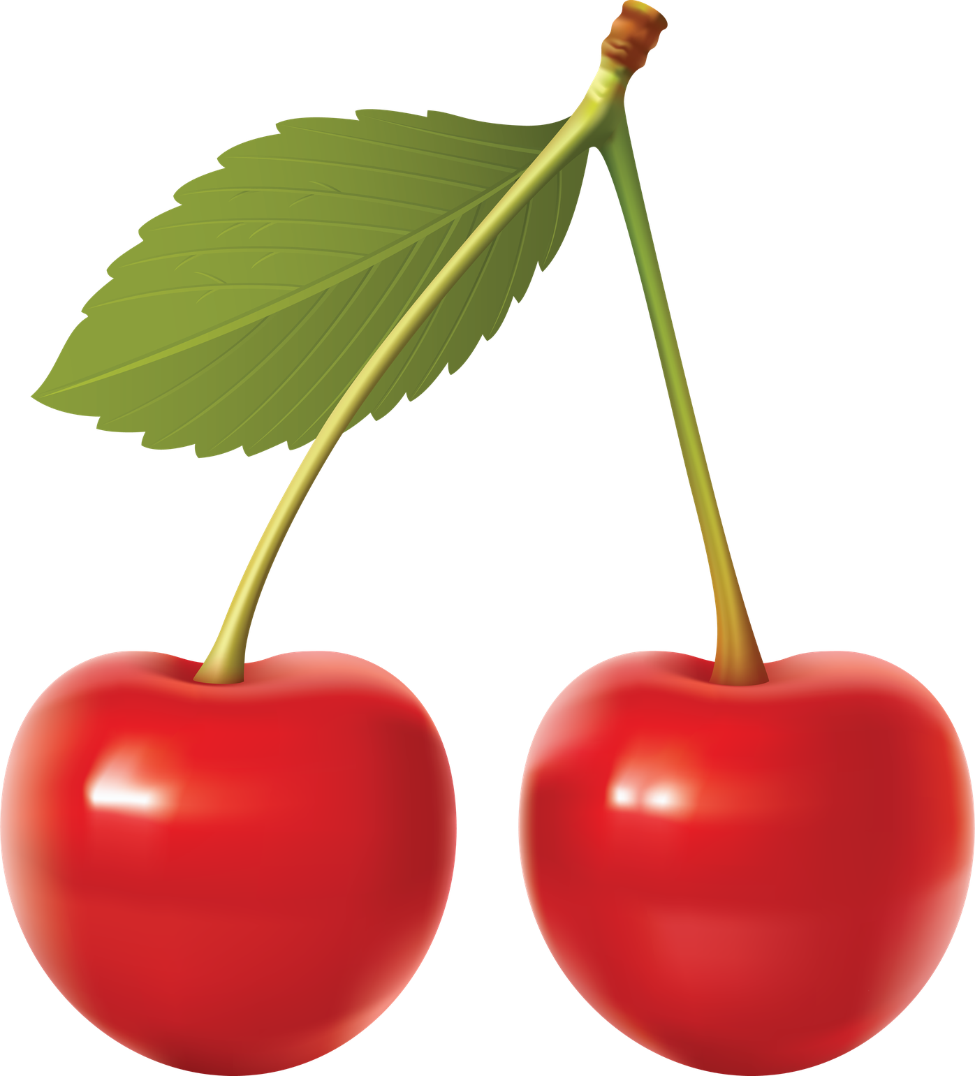 Cherry Vector Png File (black, red, olive, maroon)