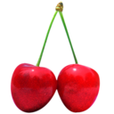 Cherry Pngpath Free Png Icon Download (maroon, black)