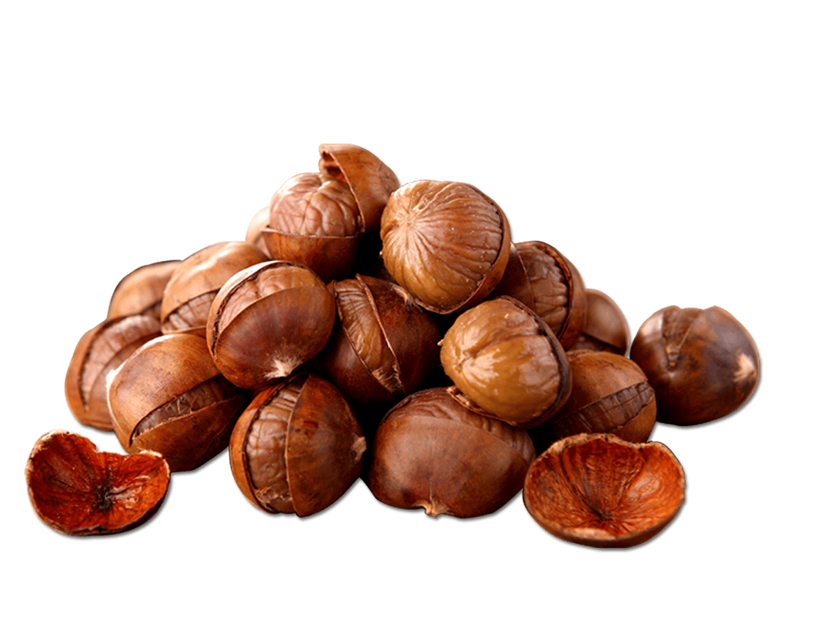 Chestnut Png Clipart (black)