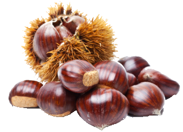 Chestnut Png Hd Isolated (black)