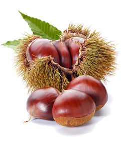 Chestnut Png Hd (black, silver)