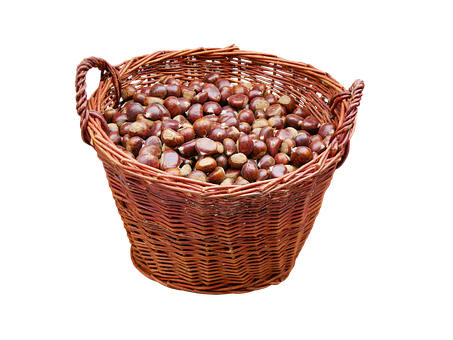 Chestnut Png Image (black, gray, chocolate)