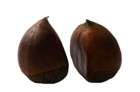 Chestnut Png Picture (black)