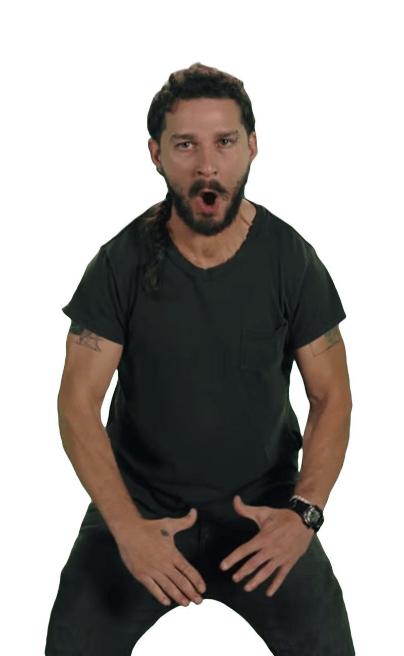 Shia Labeouf Png Image (black, gray)