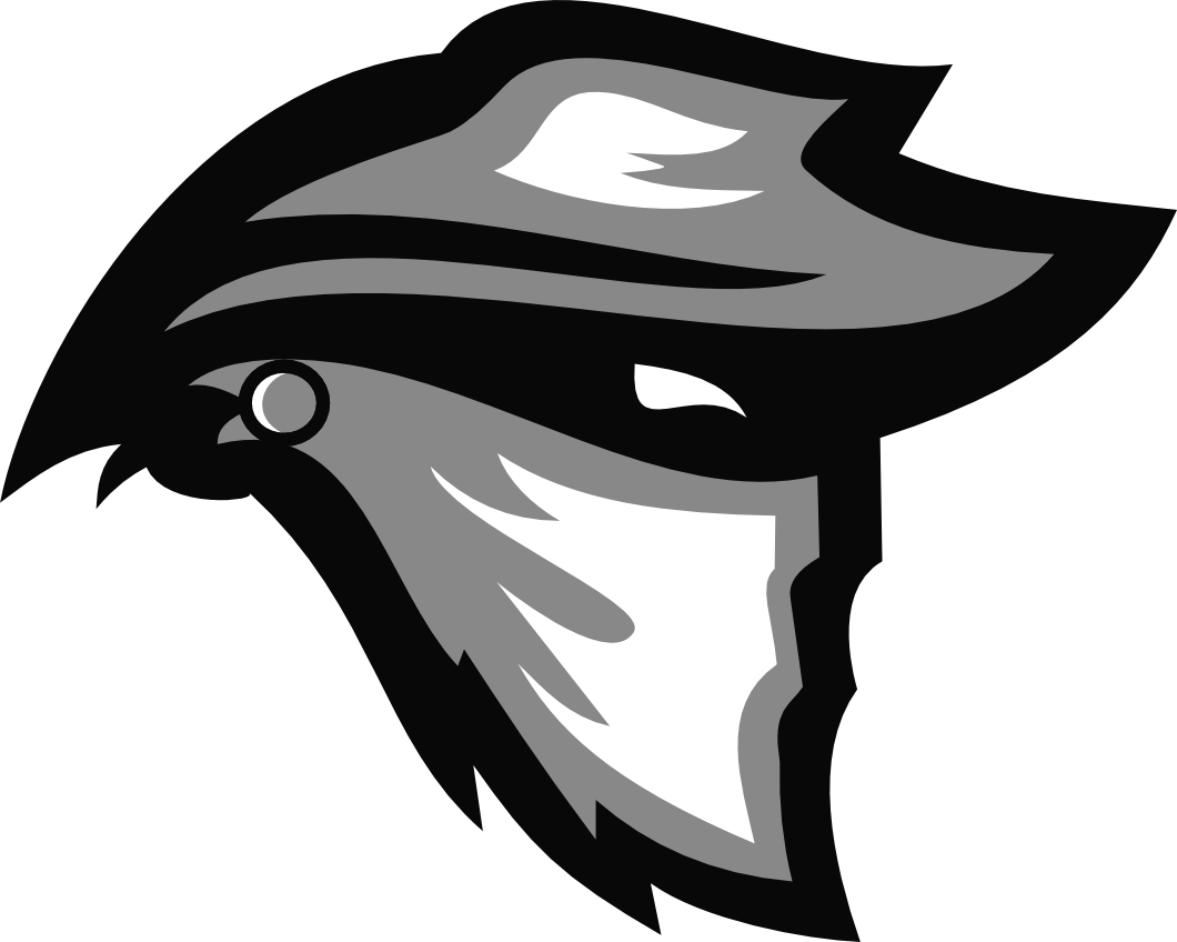 Chicago Bandits Png Hd (white, gray, black)