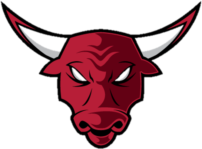 Chicago Bulls Download Png Image (black, chocolate, maroon)