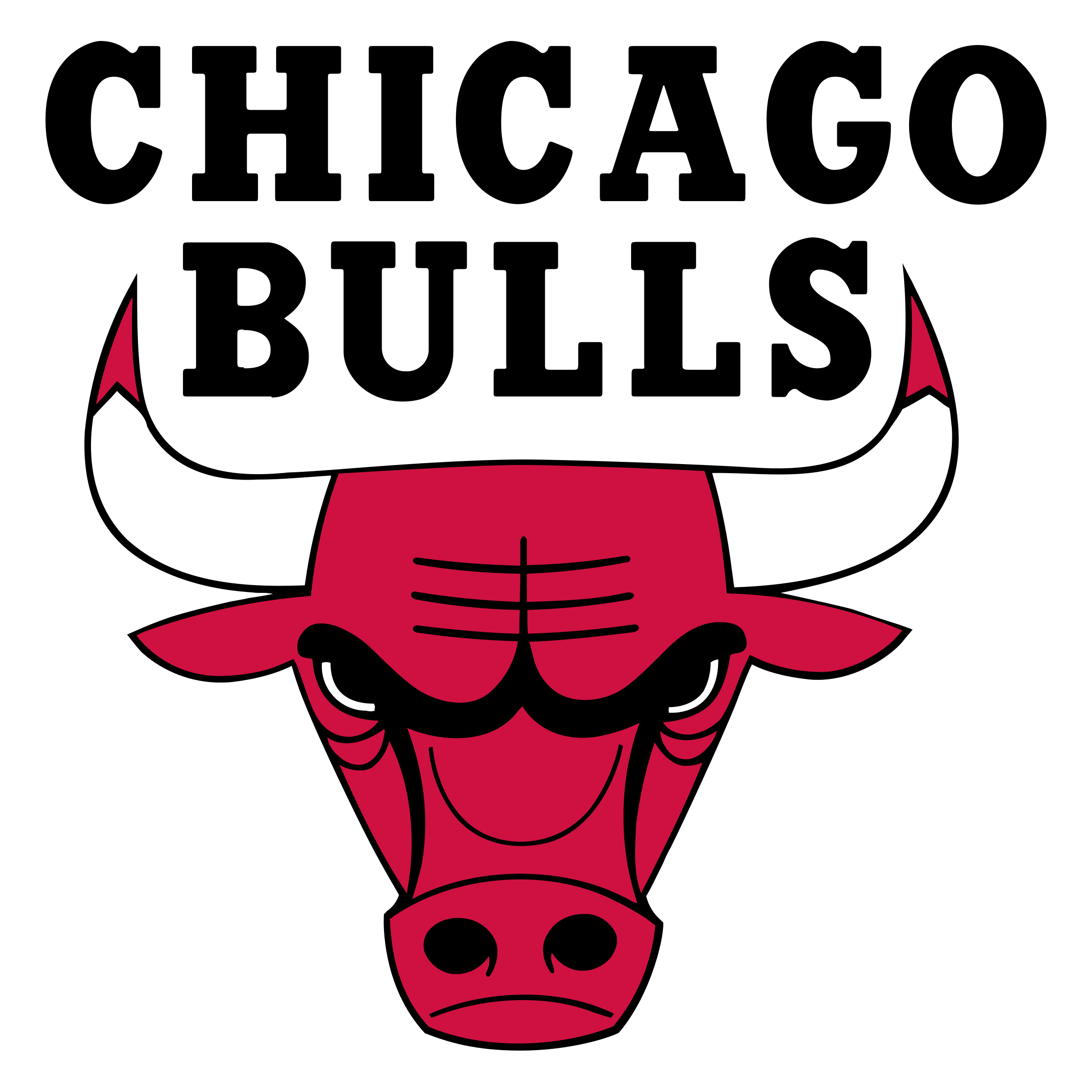 Chicago Bulls Png Image (black, white, red, silver)