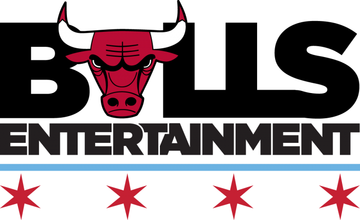 Chicago Bulls Png Transparent (black, gray, teal, silver)