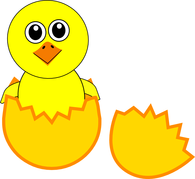 Chick Cartoon Png Photos (orange, yellow, white, black, gold)