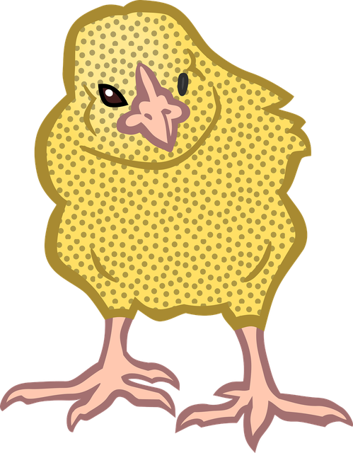 Chick Png Isolated File (black, chocolate, pink, salmon)