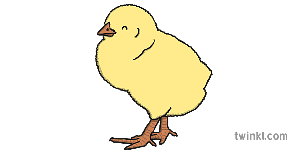 Chick Png Isolated Hd (pink, gray)