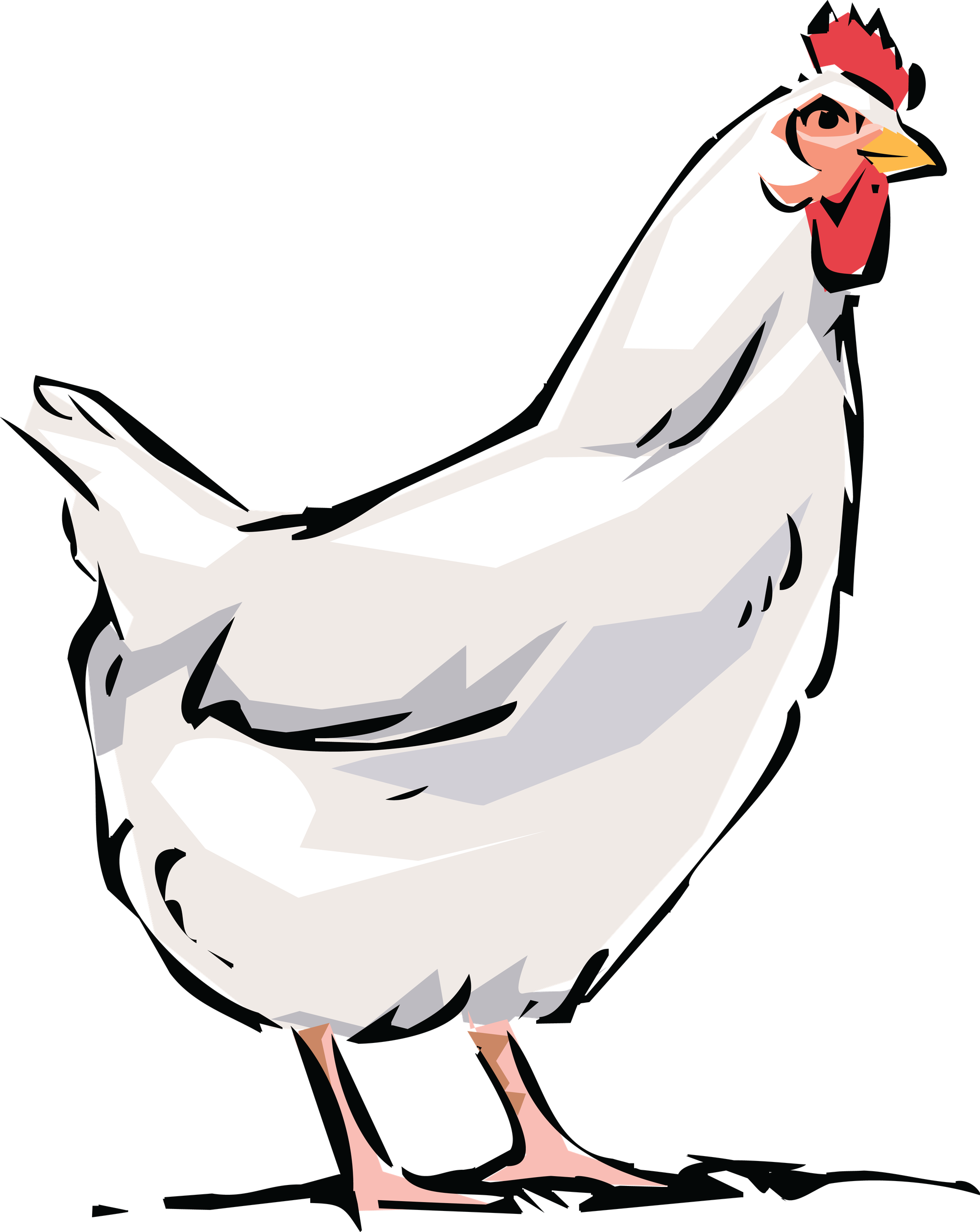 Chicken Bird Png File (black, white, beige, silver)