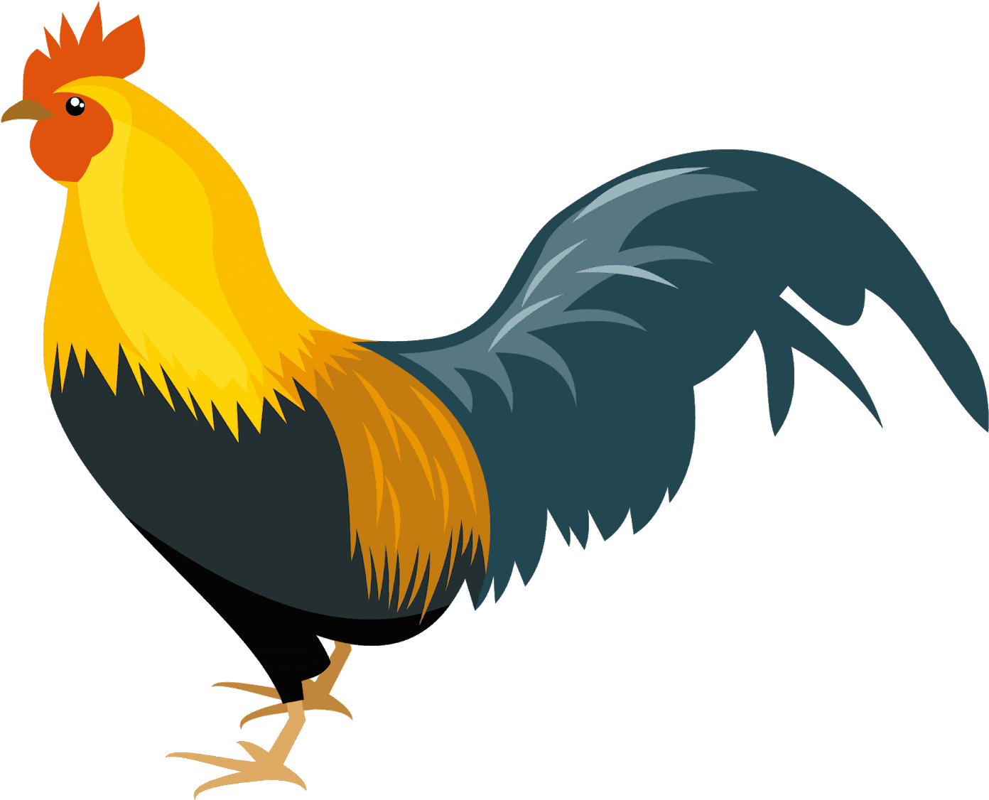 Chicken Bird Png Isolated File (chocolate, orange, teal, black, gold)