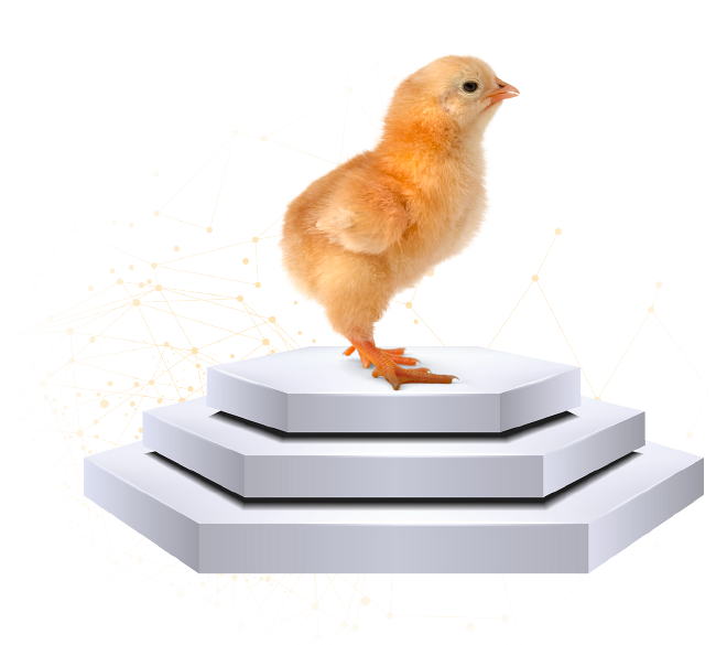 Chicks Png Hd (black, white, silver)