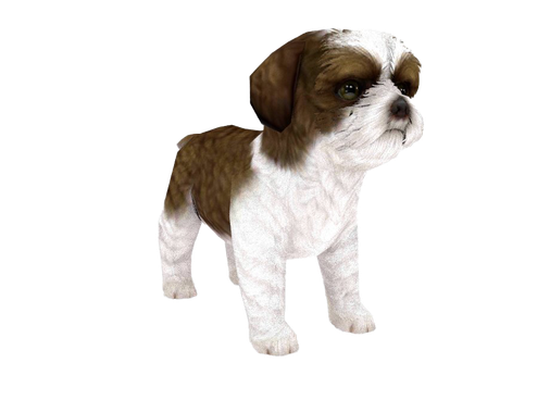 Shih Tzu Png Image (black, beige, white)