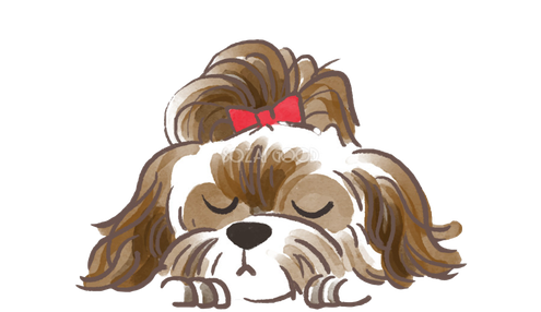 Shih Tzu Png Picture (black, indigo, white)