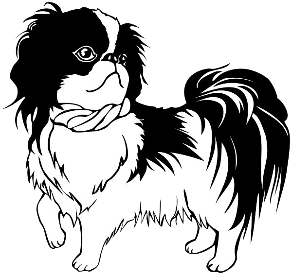 Shih Tzu Png Transparent Picture (black, lavender, white)