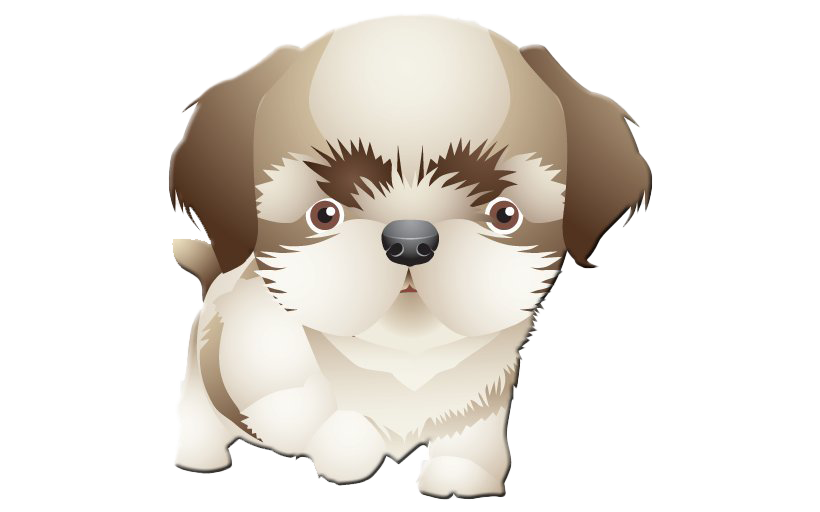 Shih Tzu Png Transparent (beige, white)