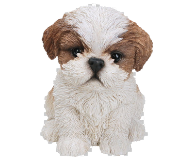 Shih Tzu Puppy Png Free Download (black, silver)