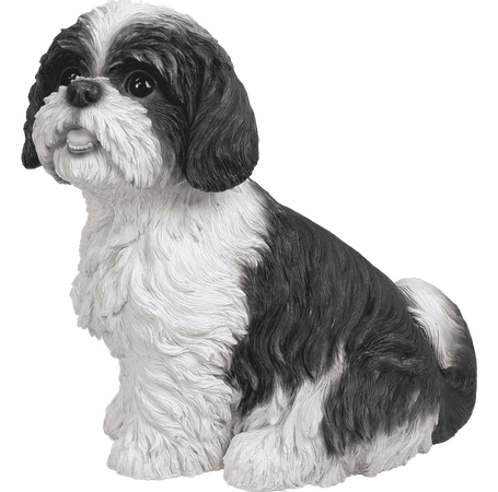 Shih Tzu Puppy Png Hd (black, indigo)