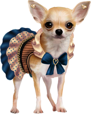 Chihuahua Png Hd Isolated (black, navy, teal)