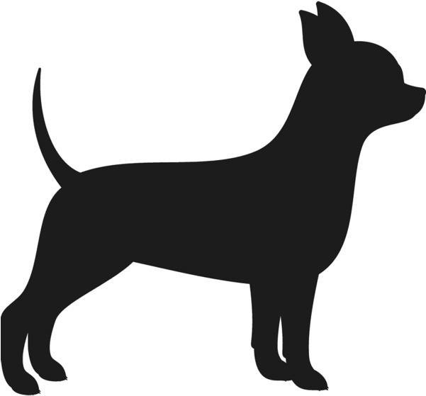 Chihuahua Png Isolated Image (black)