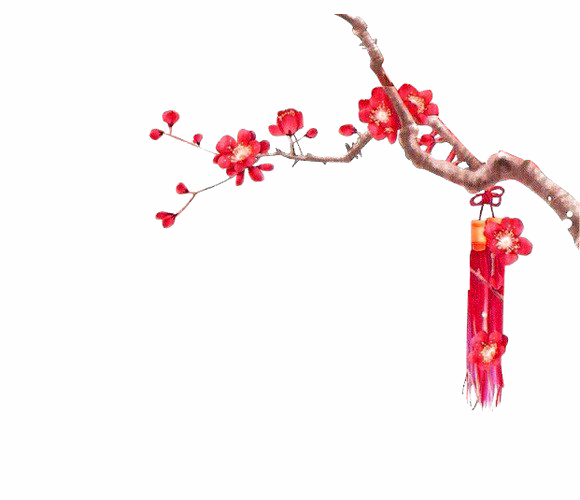 Chinese Flower Png Transparent Picture (white)