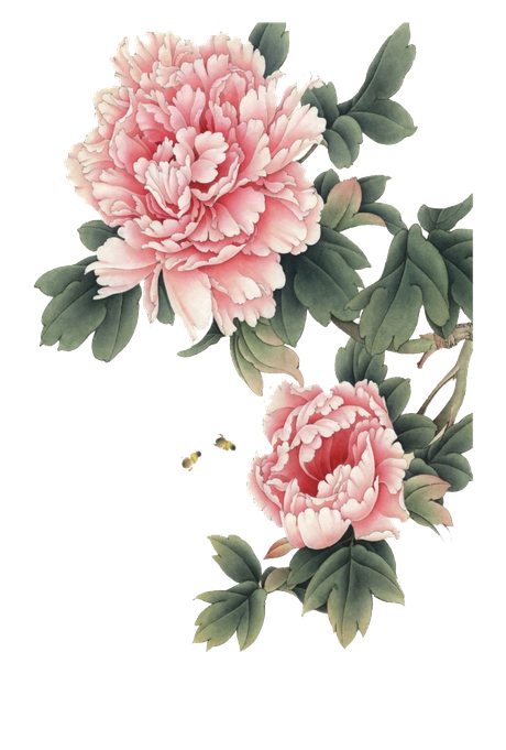 Chinese Flower Transparent Background (black, gray)