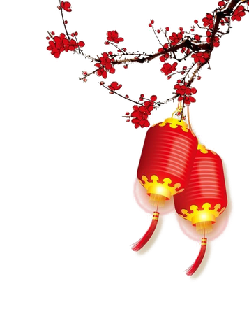 Chinese New Year Decorative Lantern Png Image (black, white)